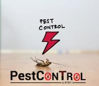 Cockroach Control Perth image 8